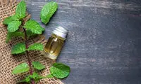 مزایای روغن نعناع برای سلامتی
