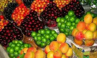 قیمت میوه‌های نوبرانه در بازار
