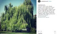 عذرخواهی آناهیتا همتی بابت یک موضع جنجالی