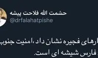 فلاحت‌پیشه: امنیت جنوب خلیج‌فارس شیشه‌ای است