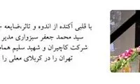 مدیرعامل کاچیران به شهادت رسید