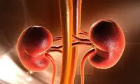 پاک‌سازی کلیه‌ها با این سبزیِ خوردنی!
