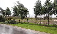 سیلاب، اوضاع استان گلستان را بحرانی کرد