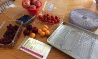 چگونه میوه ها را در آفتاب خشک کنیم؟