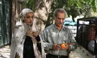 «برنا» جایگزین «لیسانسه ها» می شود