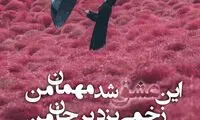 مینی شعر؛ وای بر احوال برگ بی‌درخت