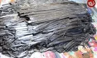 کشف حیرت‌انگیز کتابچۀ پزشکی در مقبرۀ ۲هزارساله