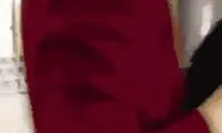 دو گربه ژاپنی که سال هاست تلاش می‌کنند وارد موزه شوند