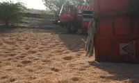 واژگونی تریلر حامل ذرت در آزادراه خلیج فارس