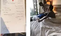 دفاعیه فدراسیون شطرنج ایران به فیده