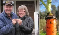 خوش شانس‌ترین انسان‌های تاریخ!