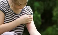 حقایقی جالب درباره ی زندگی حیوانات