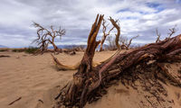 عکس: شکوه Death Valley