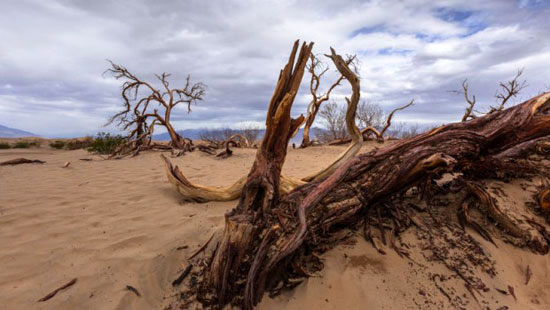 عکس: شکوه Death Valley