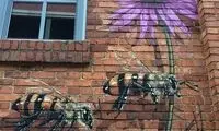 مردی که دوردنیا سفر می کند و زنبور می کشد