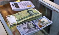 قیمت واقعی دلار از نگاه یک کارشناس