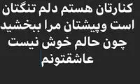 اینستاگرام فارسی؛ حامد حدادی داماد شد