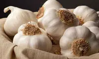 ریه هایتان را با سیر تمیز کنید