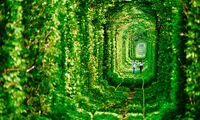 تصاویری شگفت انگیز از دنیای زیبا (82)