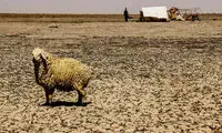 عکس: سکوت جازموریان