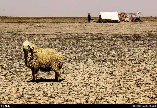 عکس: سکوت جازموریان