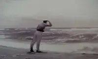 بزرگ‌ترین حشره آبزی جهان روی صورت ما!