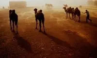 تصاویری تکان دهنده از فجایع طبیعی جهان