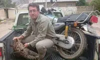 دو سال زندان، مجازات شکارچیان یک توله پلنگ
