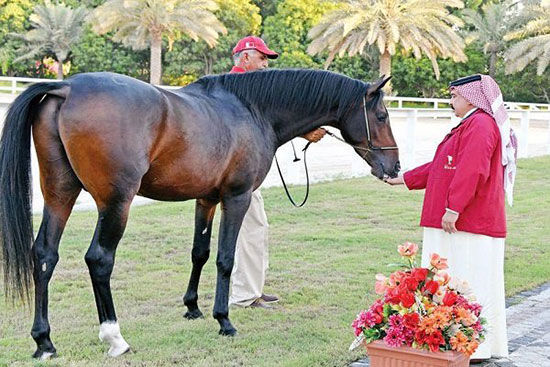 هدیه ملکه انگلیس به پادشاه بحرین