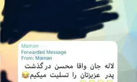 مزه‌پراکنیِ مجازی؛ وقتی امیر جدیدی کَره می‌خرد؟