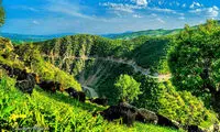 ایرانِ زیبای ما (49)
