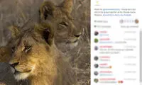 معصومیت در نگاه حیوانات +عکس
