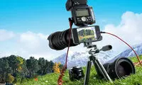 ۲۵ نکته عکاسی از گل ها برای مبتدی ها