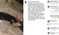 واکنش تلویزیون به مرگ یک موجود زنده؛ شوخی یا توهین؟