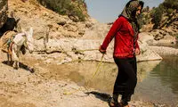 مشقت آبرسانی زنان بختیاری با الاغ