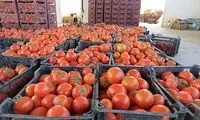۲۰۰ کامیون گوجه‌فرنگی ایران از عراق برگشت خورد