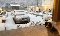 دکوراسیون ویلای دوبلکس لیلا در دل طبیعت!