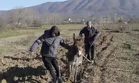ببینید گرانی سوخت با این کشاورزان چه کرده!
