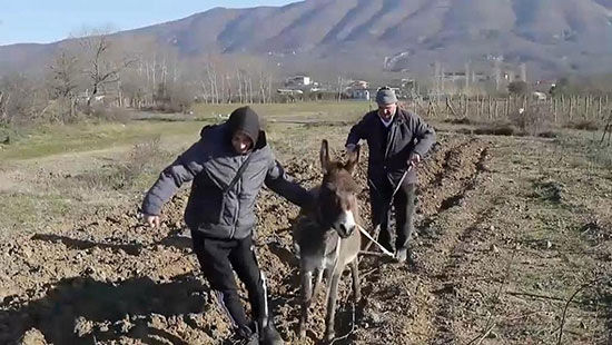 ببینید گرانی سوخت با این کشاورزان چه کرده!