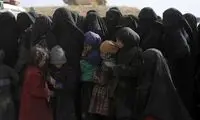 درخواست همسران داعشی از دولت هلند
