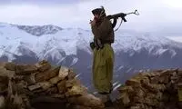 کُردها غیر از کوه‌ها دوستان دیگری هم دارند، اگر...