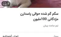 مژدگانی ۱۰۰میلیونی برای سگ گمشده!