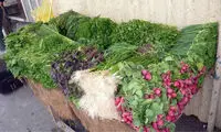 عکس: سبزی خوردن