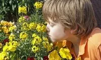 ادعای خطرناک دانشمندان درباره بدن انسان