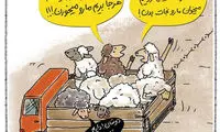 کارتون؛ گفتگوی چند گوسفند هنگام عبور از مرز
