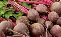 فواید چغندر برای سلامتی