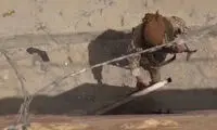عکس: اعدام دسته جمعی در پالمیرا