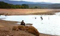 نماینده ترکیه در اسکار معرفی شد
