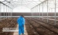 علت کشیده شدن سمت اعتیاد از زبان معتادین