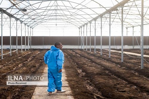 علت کشیده شدن سمت اعتیاد از زبان معتادین